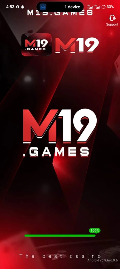 M19